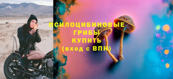 герыч Арсеньев