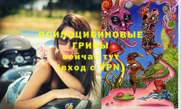герыч Арсеньев