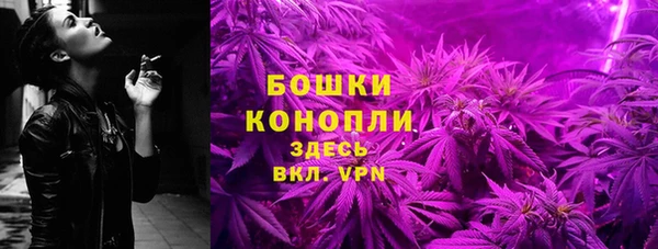 сатива Армянск