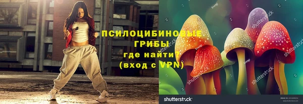 герыч Арсеньев