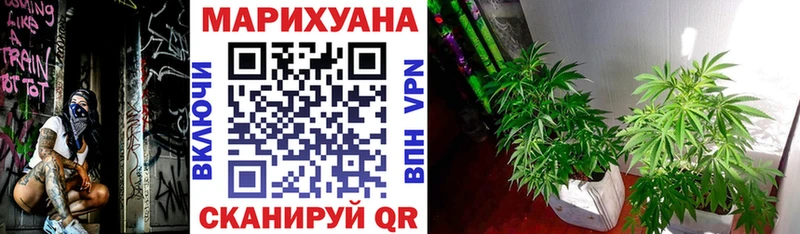 Бошки марихуана OG Kush  где продают наркотики  shop официальный сайт  Сенгилей 
